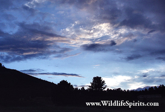 Click Picture to send as an  E-PostCard 52k 550x376